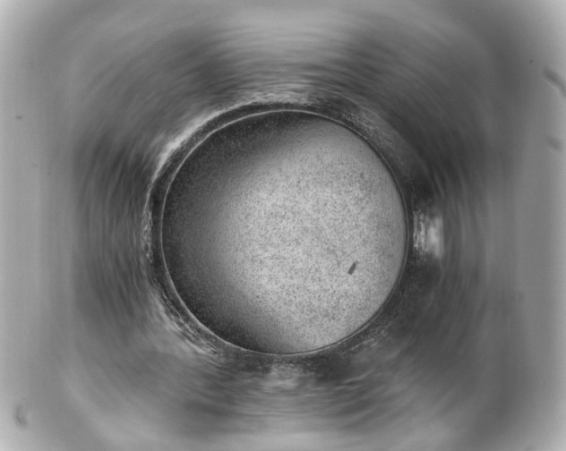 X0000100900388200807011226