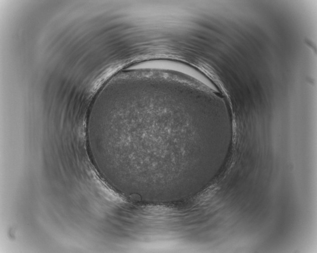 X0000100900389200807011226