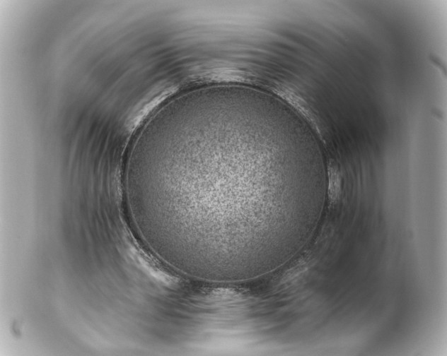 X0000100900390200807011226