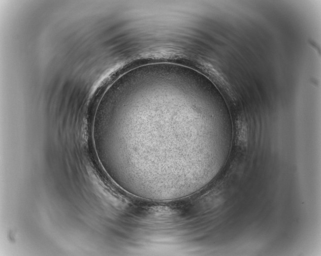 X0000100900392200807011225