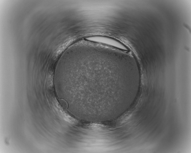 X0000100900393200807011225