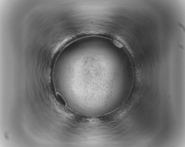 X0000100900395200807011225