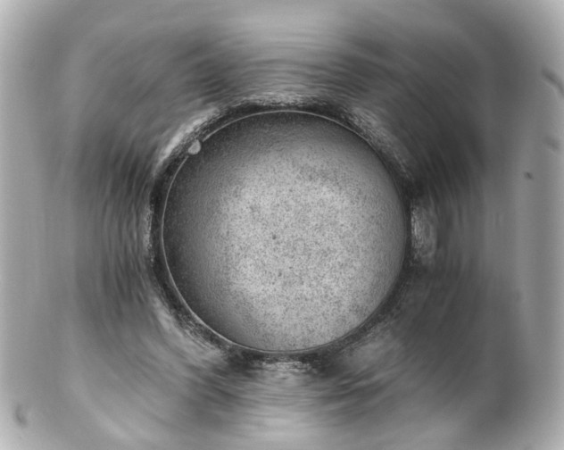 X0000100900396200807011225