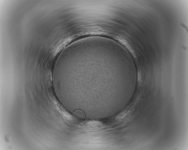 X0000100900397200807011225