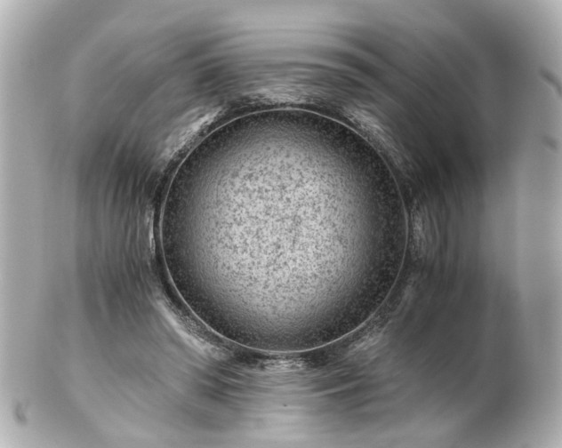 X0000100900398200807011225