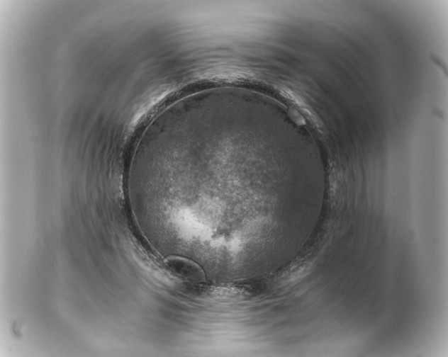 X0000100900399200807011225