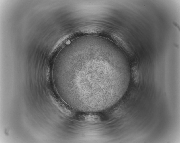 X0000100900400200807011225