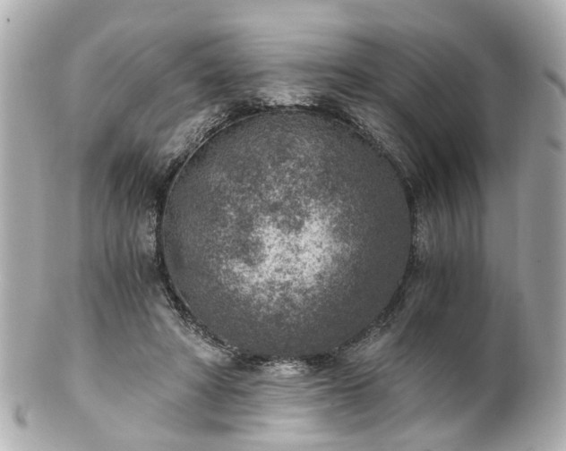 X0000100900402200807011225