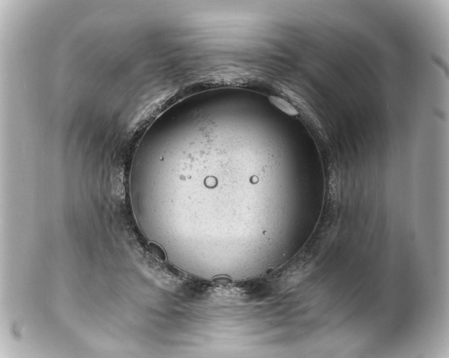 X0000100900403200807011225