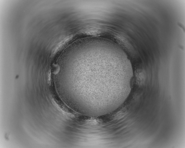 X0000100900404200807011225