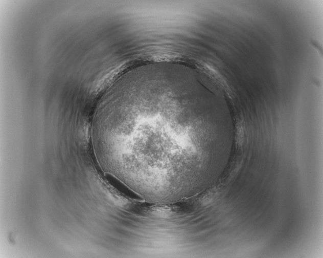 X0000100900405200807011225