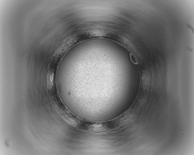 X0000100900406200807011225