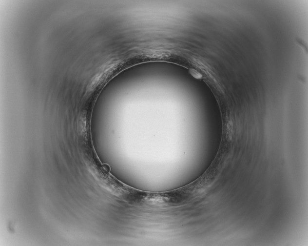 X0000100900407200807011225