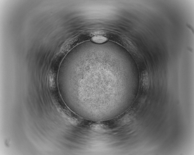 X0000100900408200807011225