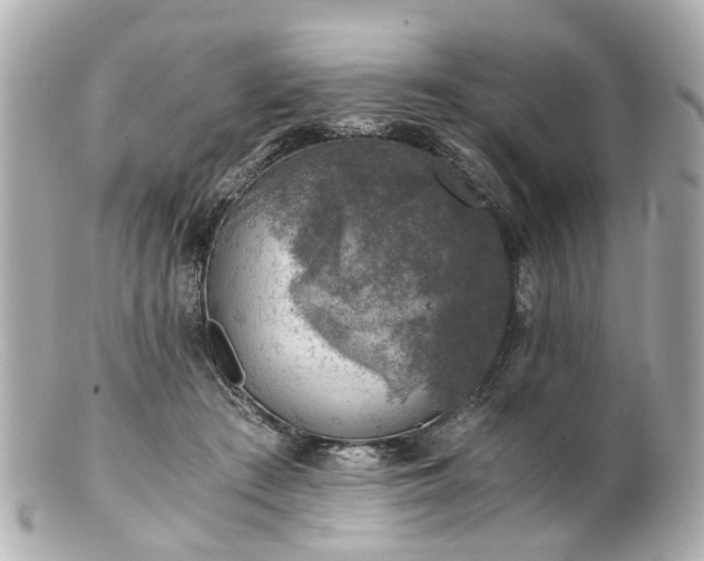 X0000100900409200807011225