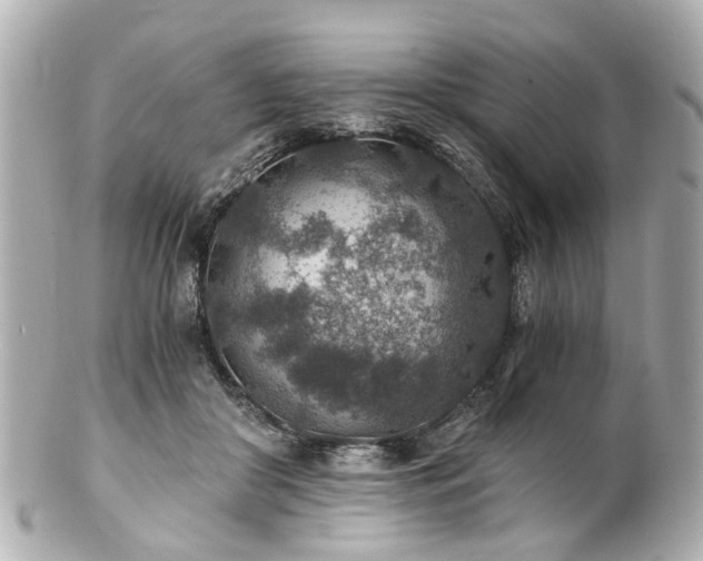 X0000100900410200807011225