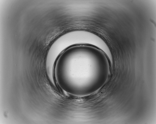 X0000100900411200807011225