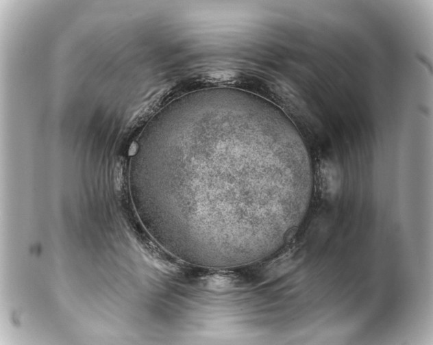 X0000100900412200807011225