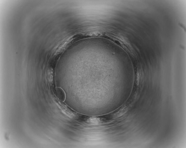 X0000100900413200807011225