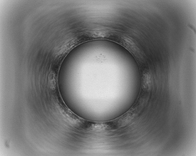 X0000100900414200807011225