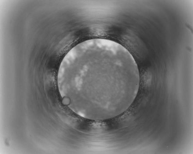 X0000100900415200807011225