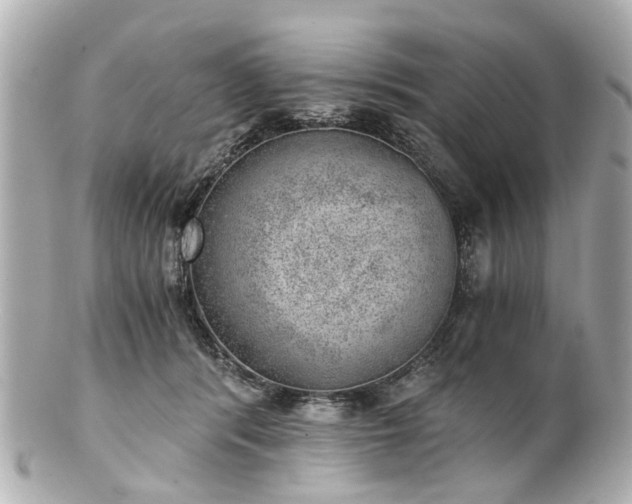 X0000100900416200807011225