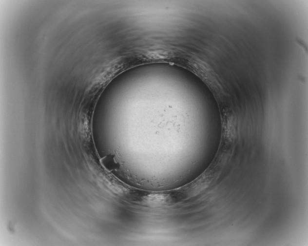 X0000100900418200807011225