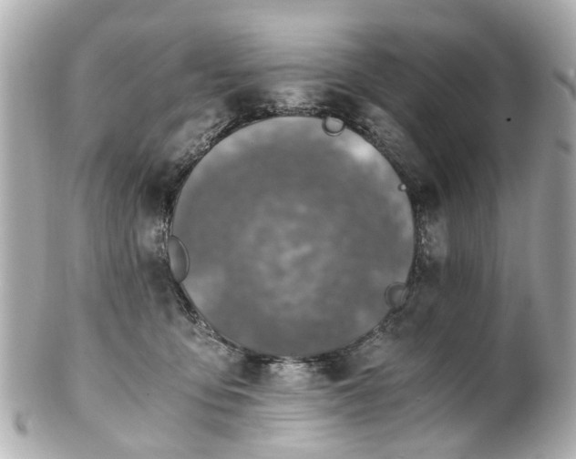 X0000100900419200807011225