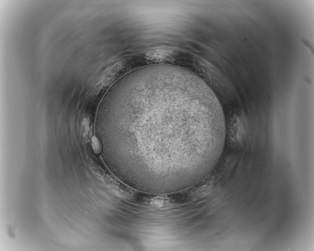 X0000100900420200807011225