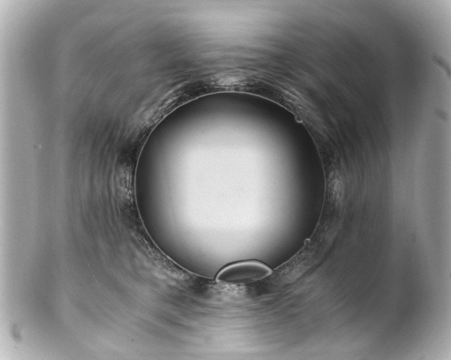 X0000100900421200807011225