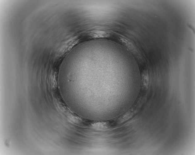 X0000100900422200807011225