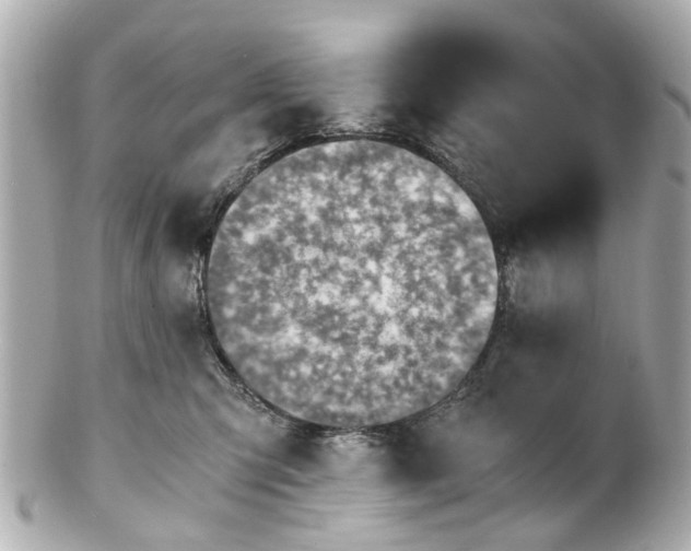 X0000100900423200807011225