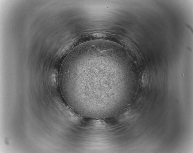 X0000100900424200807011225