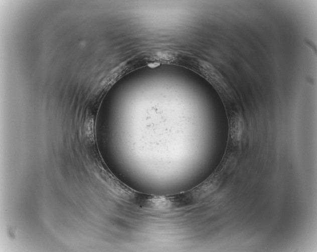 X0000100900425200807011225