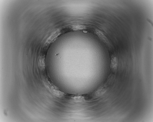 X0000100900426200807011225