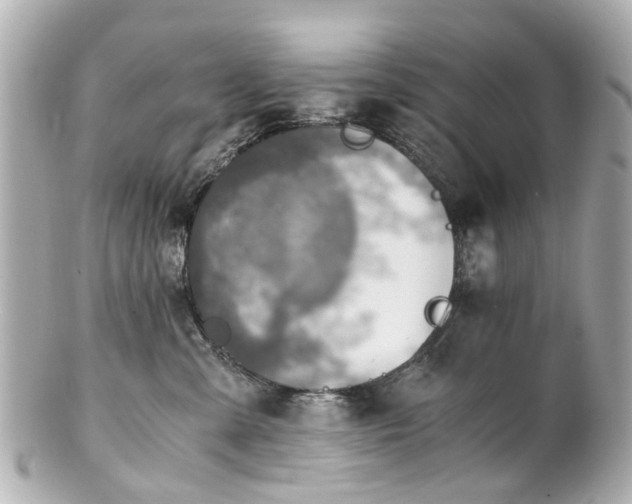 X0000100900427200807011225