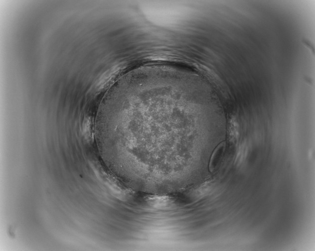 X0000100900428200807011225