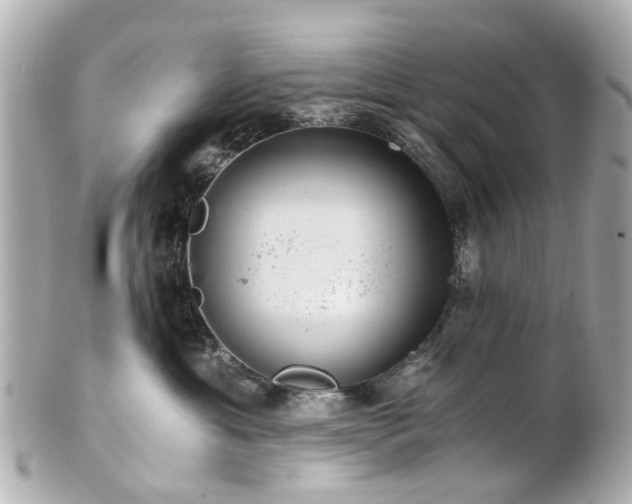 X0000100900429200807011225