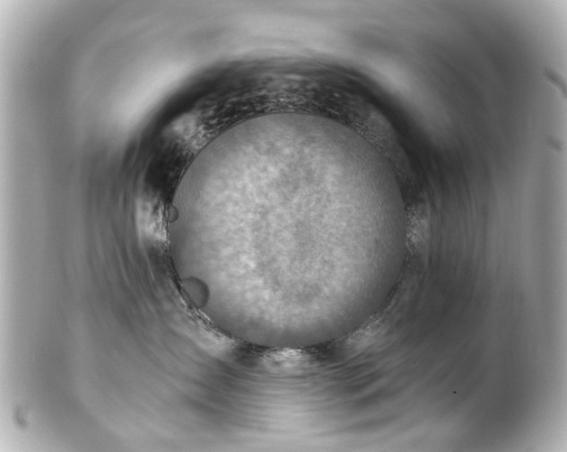 X0000100900431200807011225