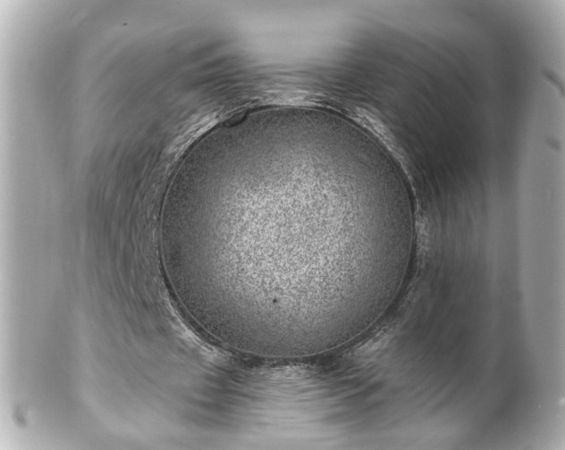 X0000100900433200807011224