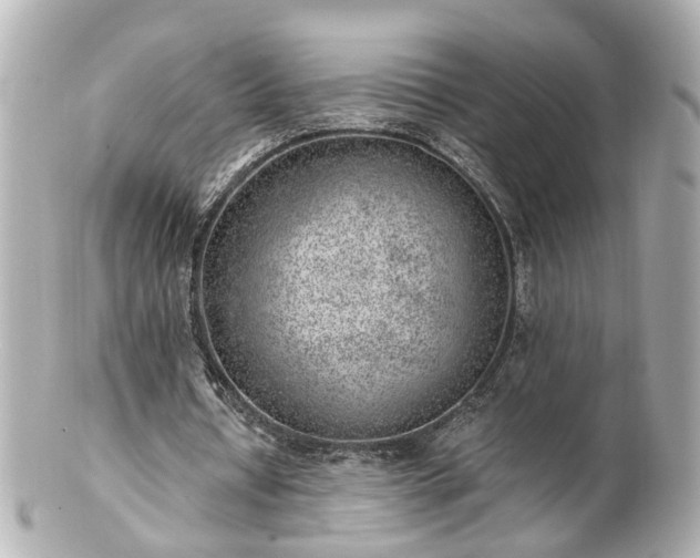 X0000100900434200807011224