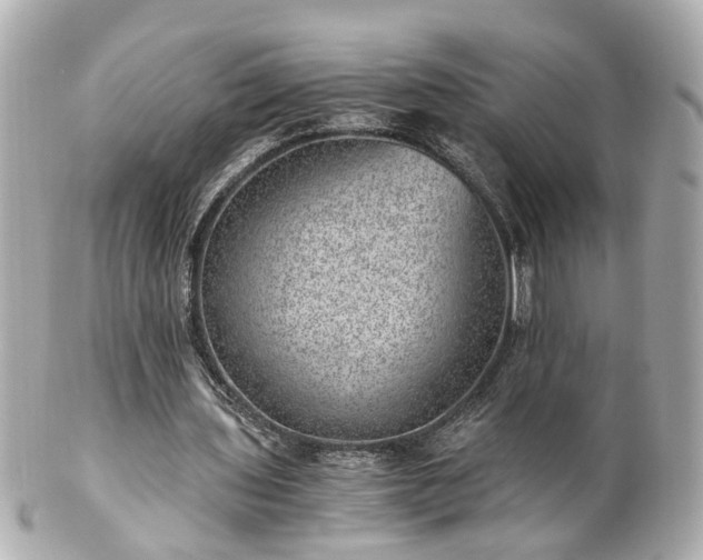 X0000100900435200807011224