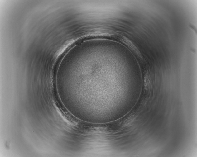 X0000100900436200807011224