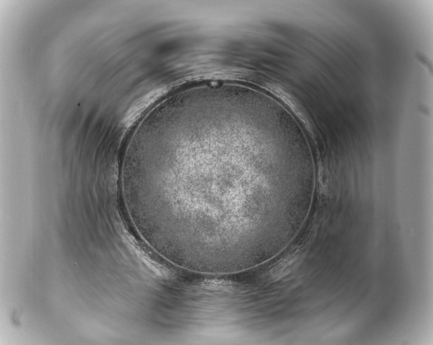 X0000100900437200807011224