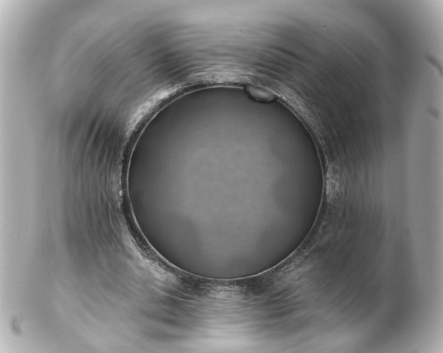 X0000100900438200807011224