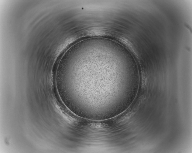 X0000100900439200807011224