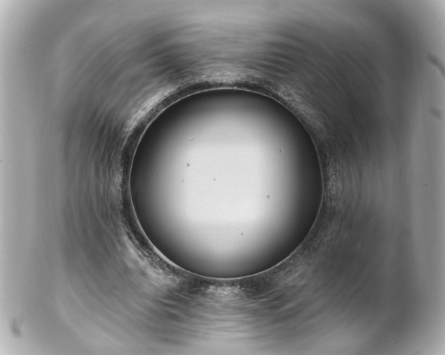 X0000100900440200807011224