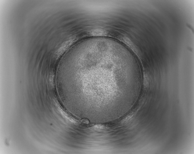 X0000100900441200807011224