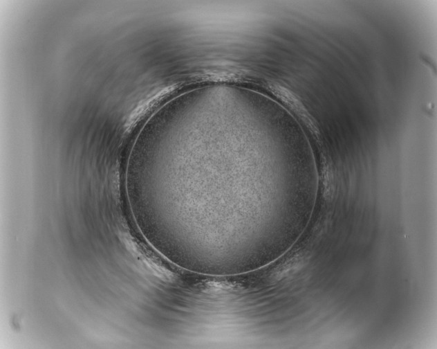 X0000100900442200807011224