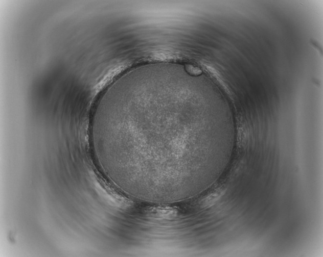 X0000100900443200807011224